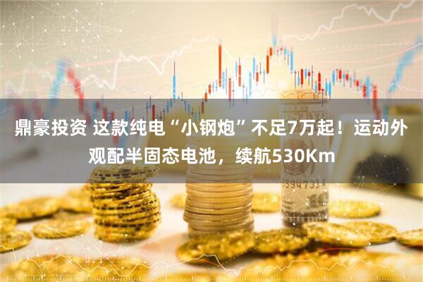 鼎豪投资 这款纯电“小钢炮”不足7万起！运动外观配半固态电池，续航530Km