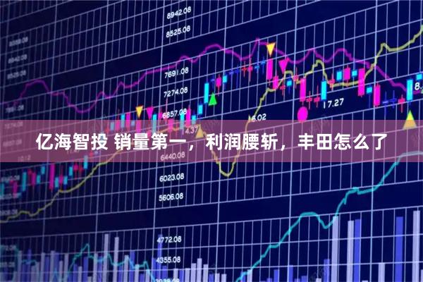 亿海智投 销量第一，利润腰斩，丰田怎么了