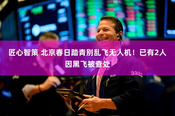 匠心智策 北京春日踏青别乱飞无人机！已有2人因黑飞被查处