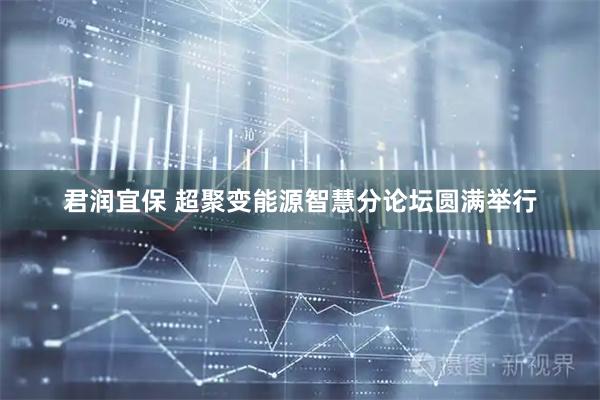 君润宜保 超聚变能源智慧分论坛圆满举行