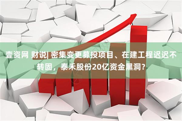 壹资网 财说| 密集变更募投项目、在建工程迟迟不转固，泰禾股份20亿资金黑洞？