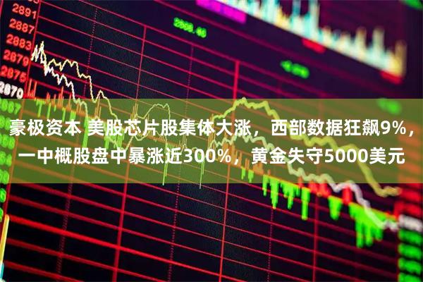 豪极资本 美股芯片股集体大涨，西部数据狂飙9%，一中概股盘中暴涨近300%，黄金失守5000美元