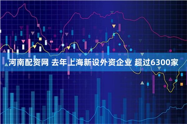 河南配资网 去年上海新设外资企业 超过6300家