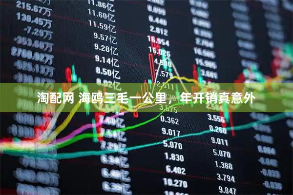 淘配网 海鸥三毛一公里，年开销真意外