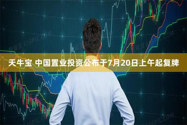 天牛宝 中国置业投资公布于7月20日上午起复牌