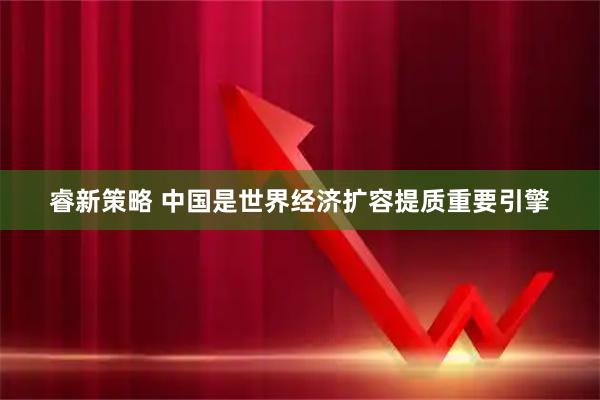 睿新策略 中国是世界经济扩容提质重要引擎